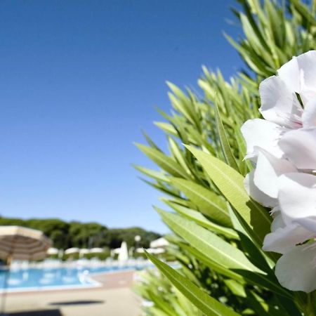 Isa-Apartments 4 Beds In Residence With Swimming-Pool In San Vincenzo, Just 600 Meters From The Sea Dış mekan fotoğraf