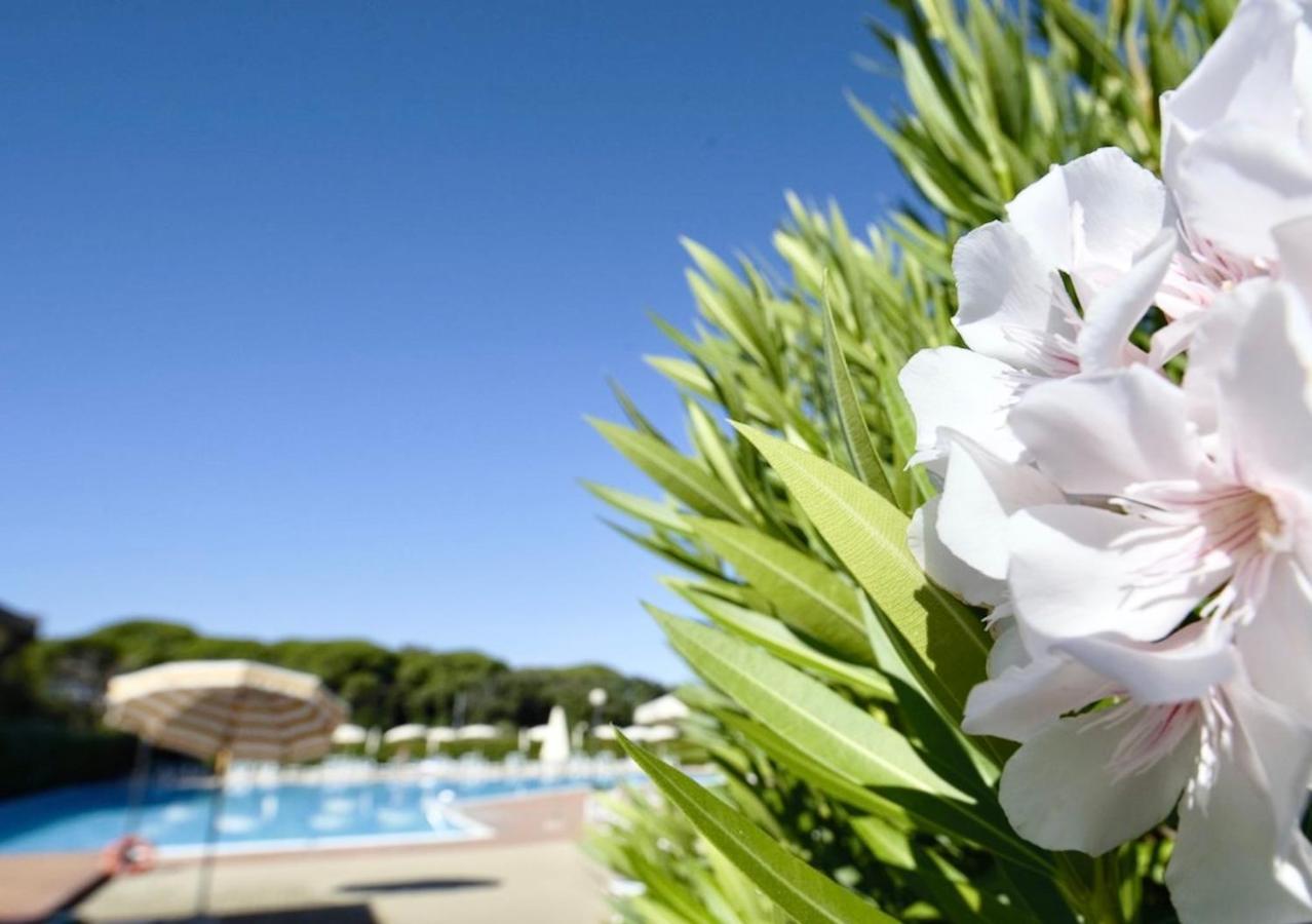 Isa-Apartments 4 Beds In Residence With Swimming-Pool In San Vincenzo, Just 600 Meters From The Sea Dış mekan fotoğraf
